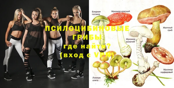 каннабис Абаза