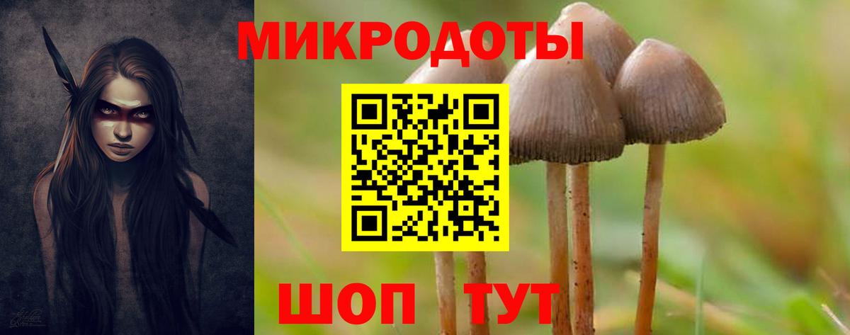 Псилоцибиновые грибы Psilocybe Сафоново